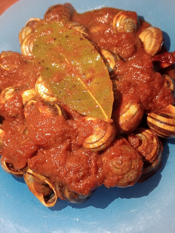 @douae cook