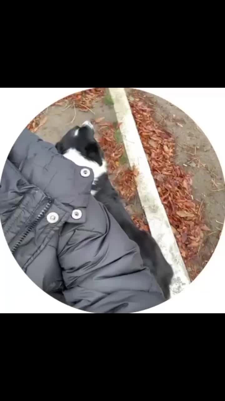 @AREEKOZ🖤