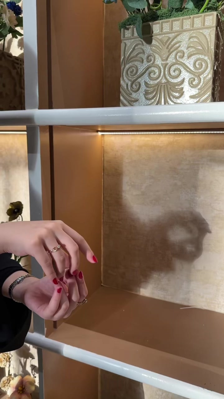 @الجزيرة للاحتفـالات..