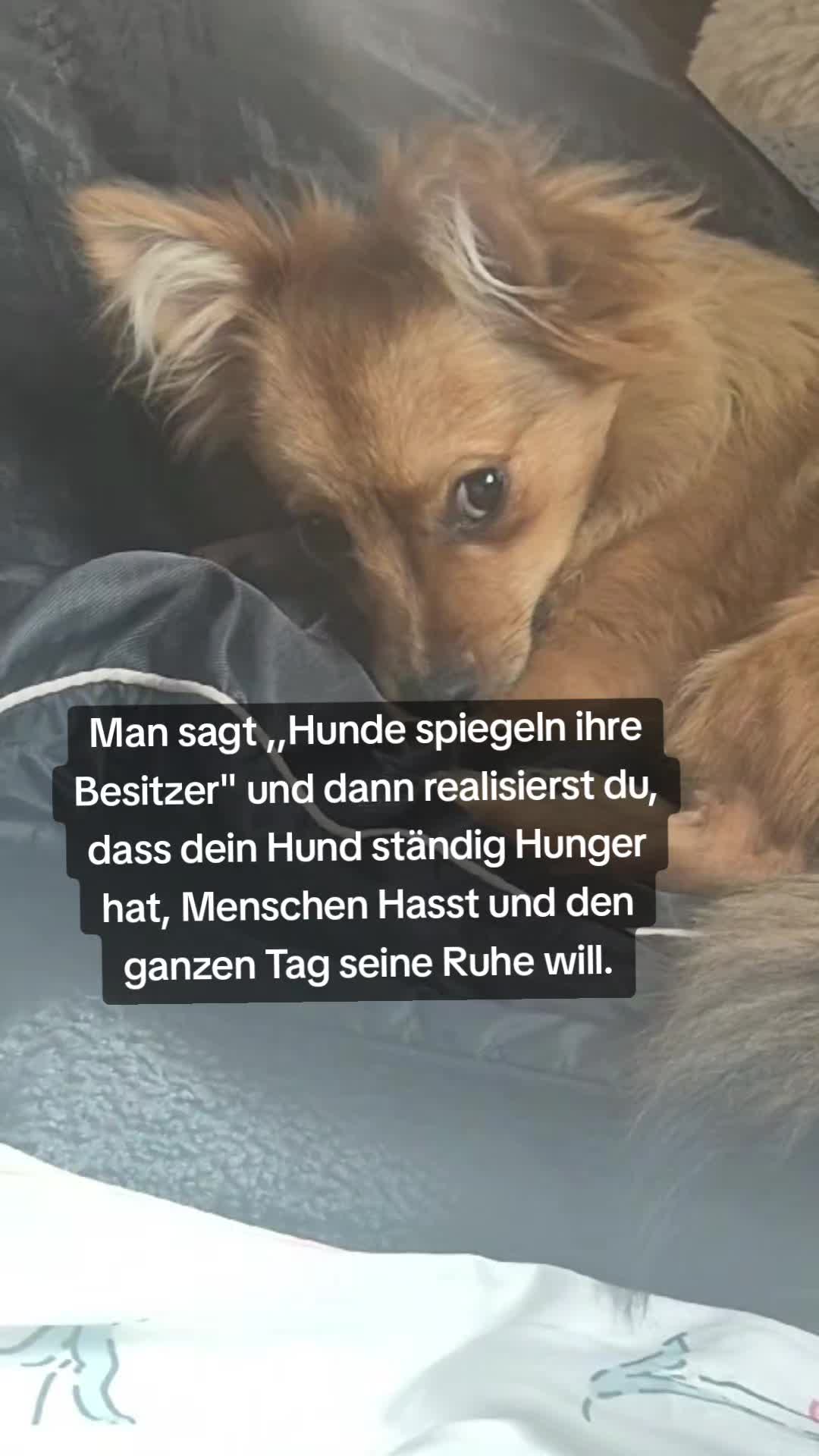 @Lost_Hope