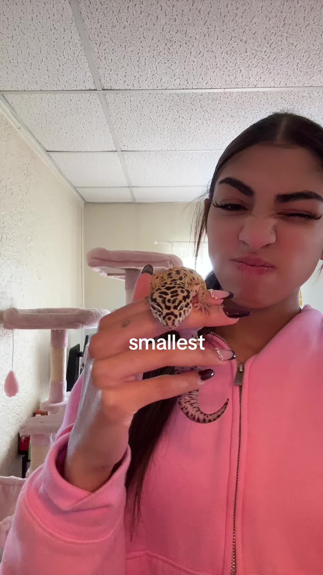 @bee🐡