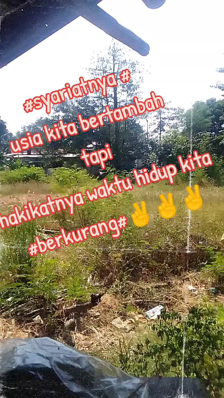 @masto213✅