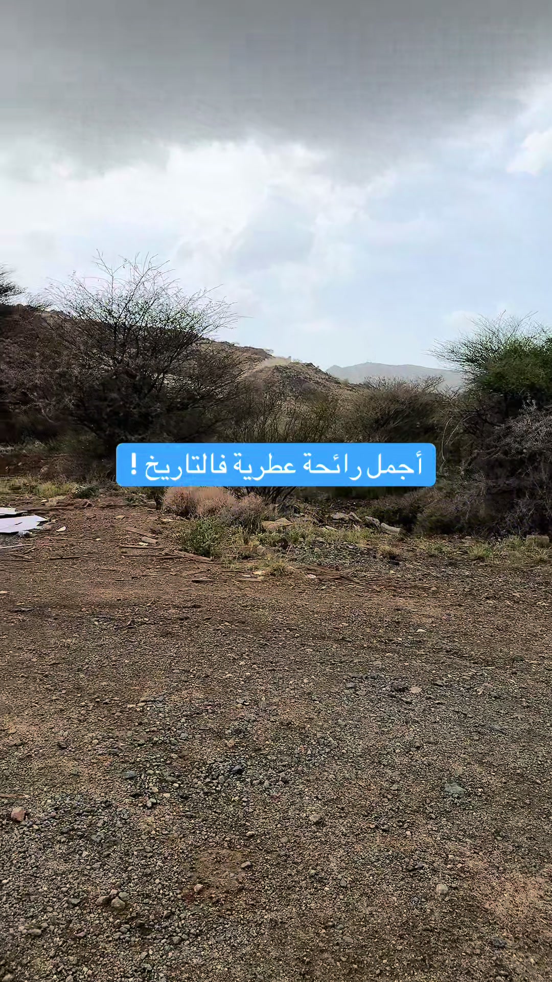 @مقرن الحربي 🫧