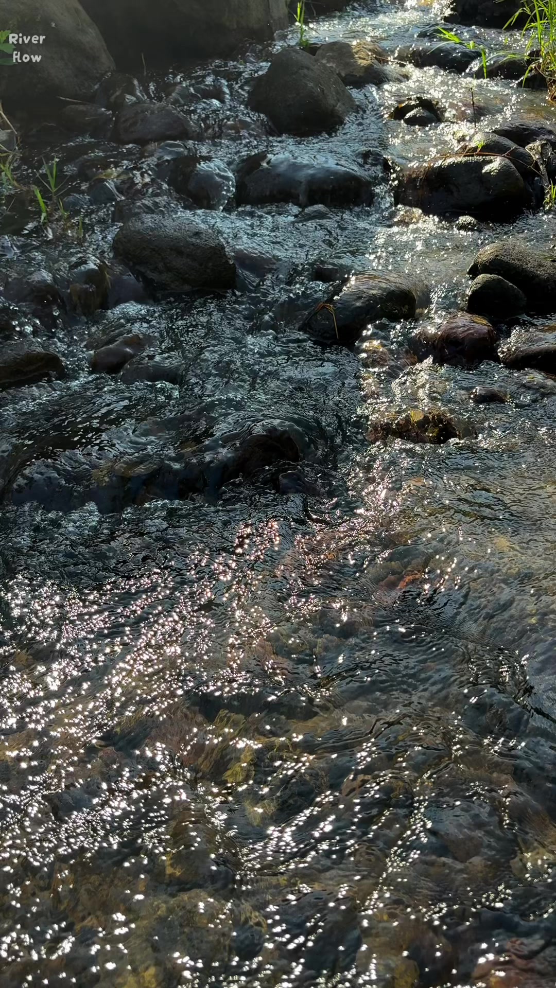 @River Flow