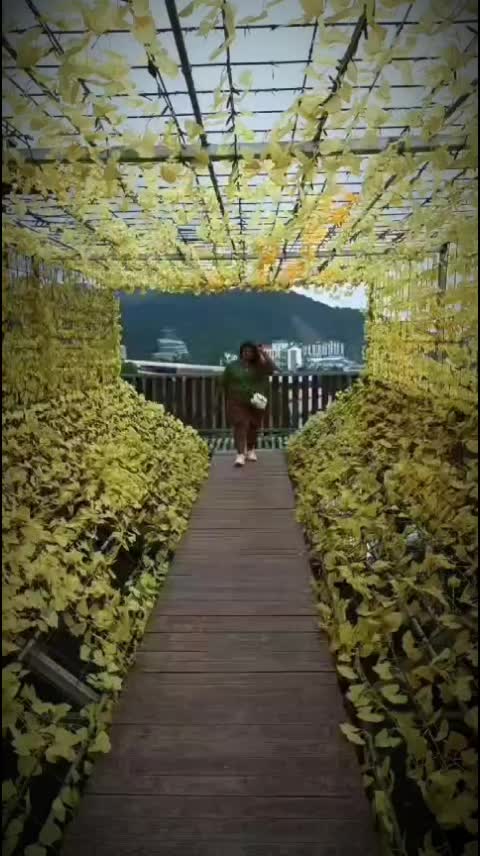 @honey anitha♡🦋