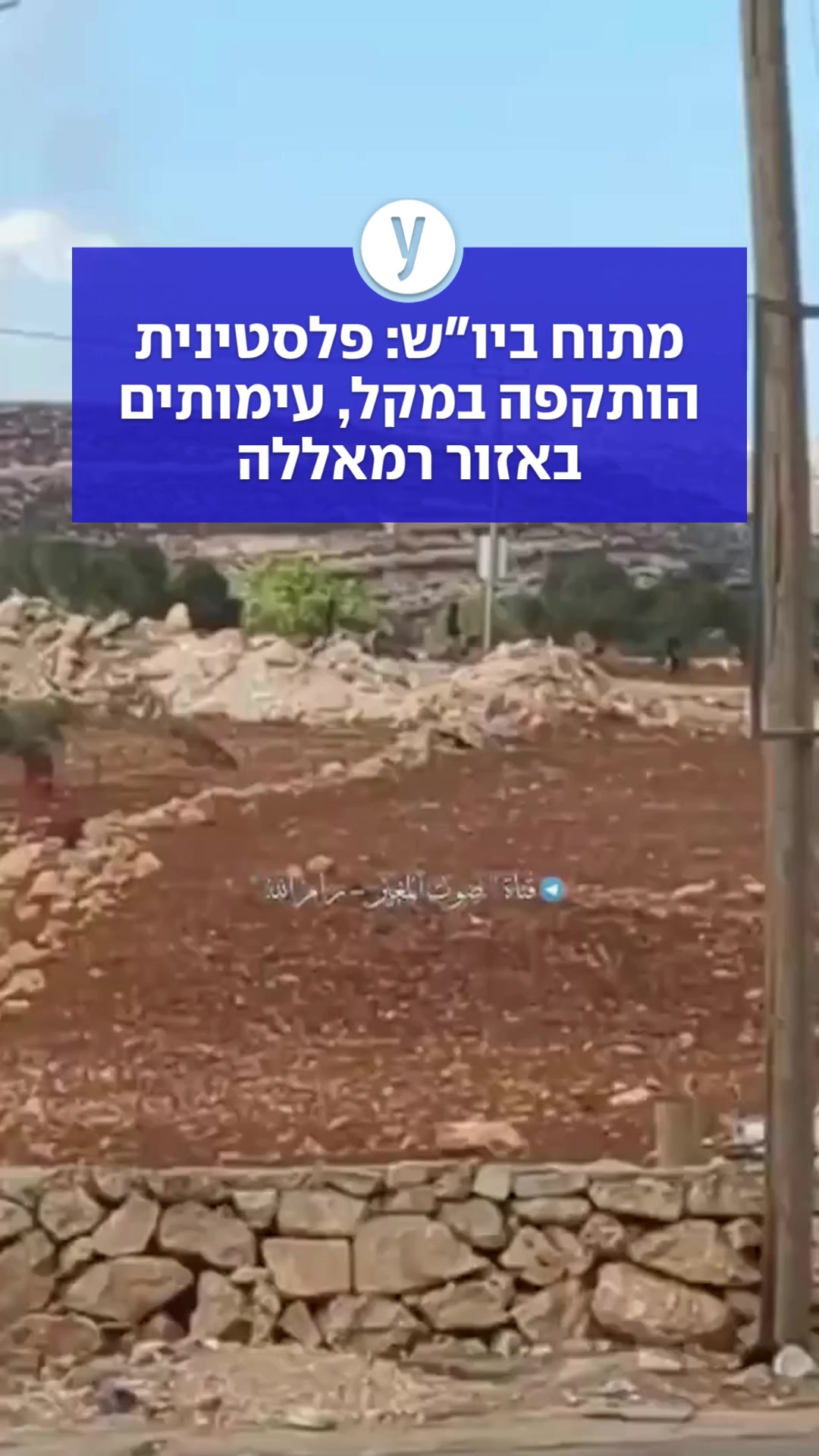@ynet