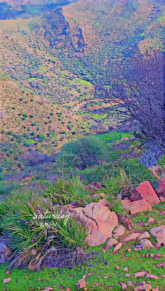 @❤️&zwj;🩹kadar kadar❤️&zwj;🩹