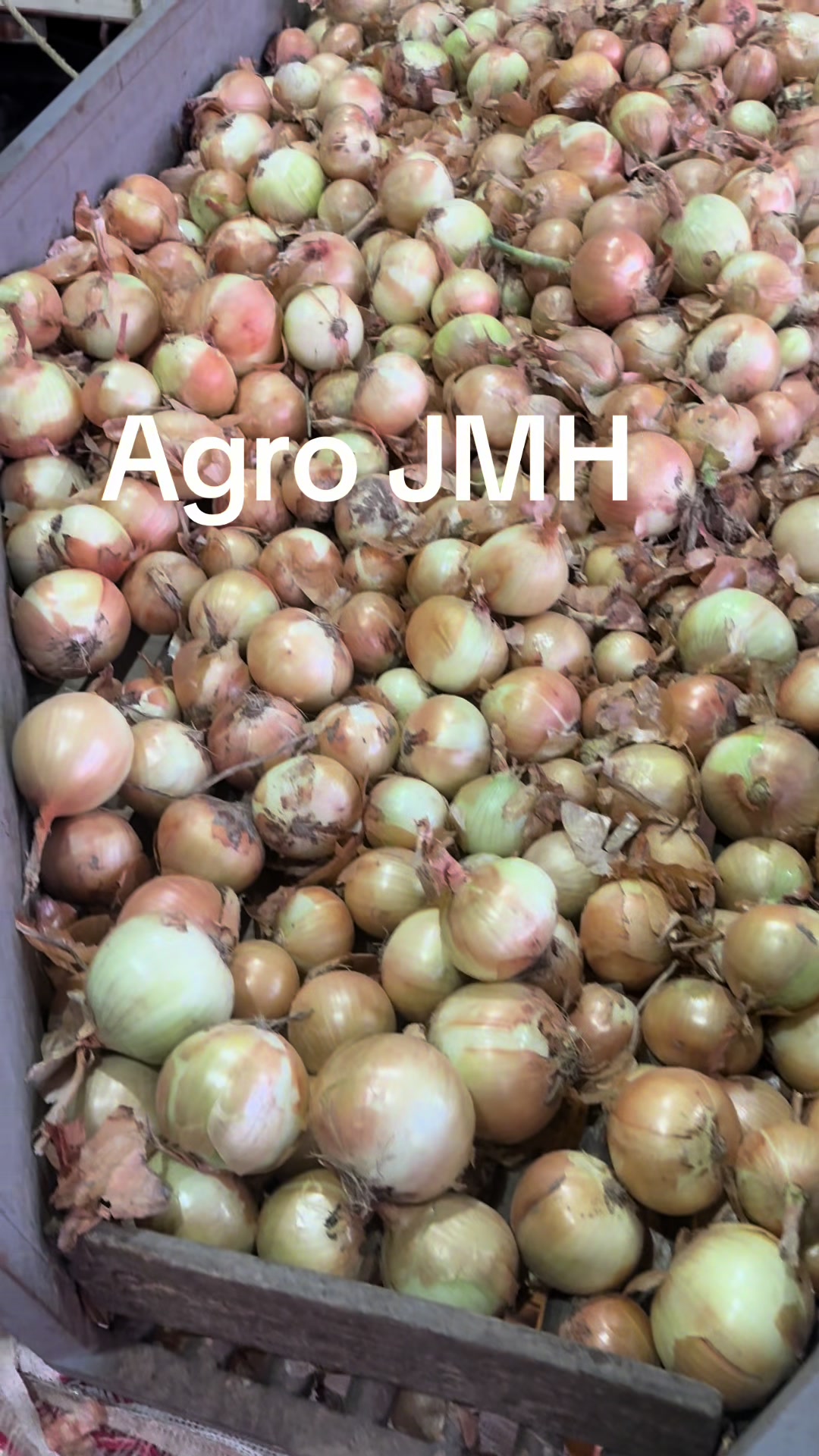 @Grupo MH