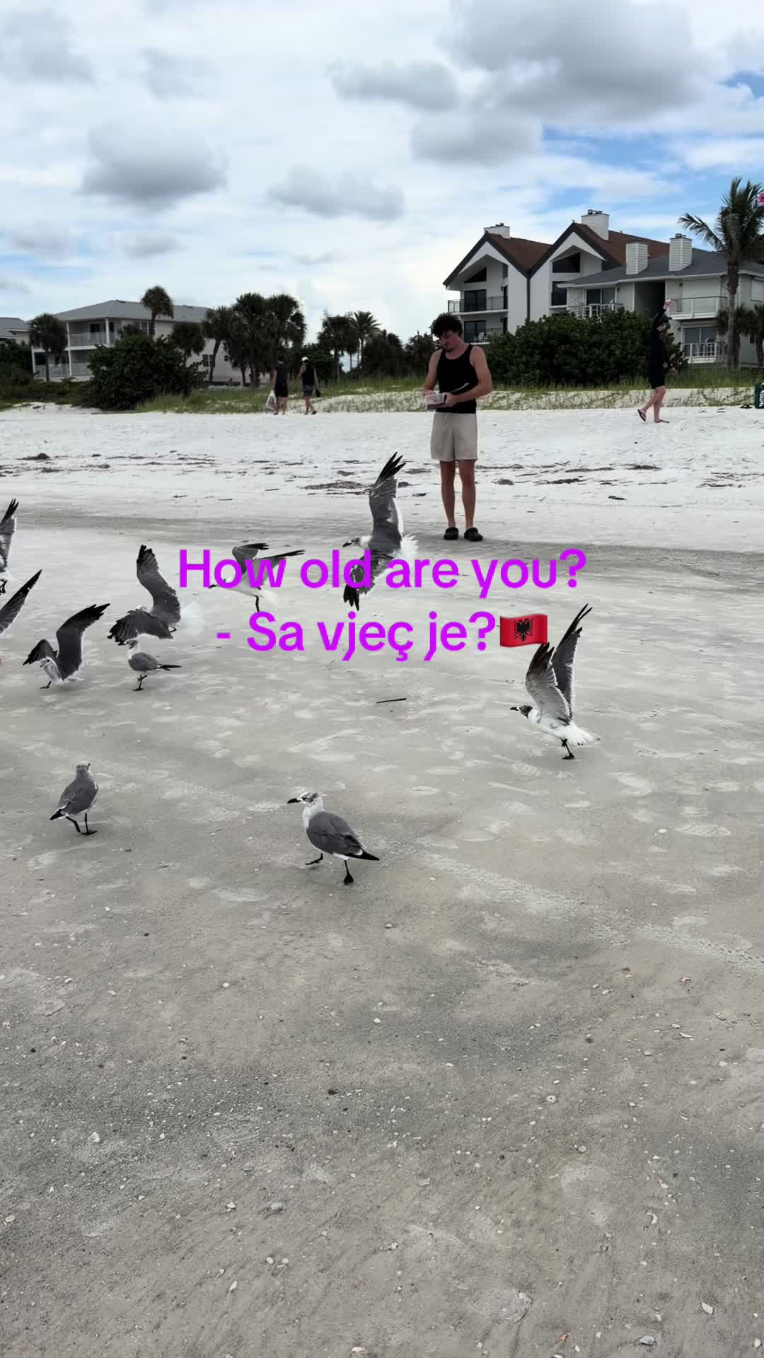 @Albana