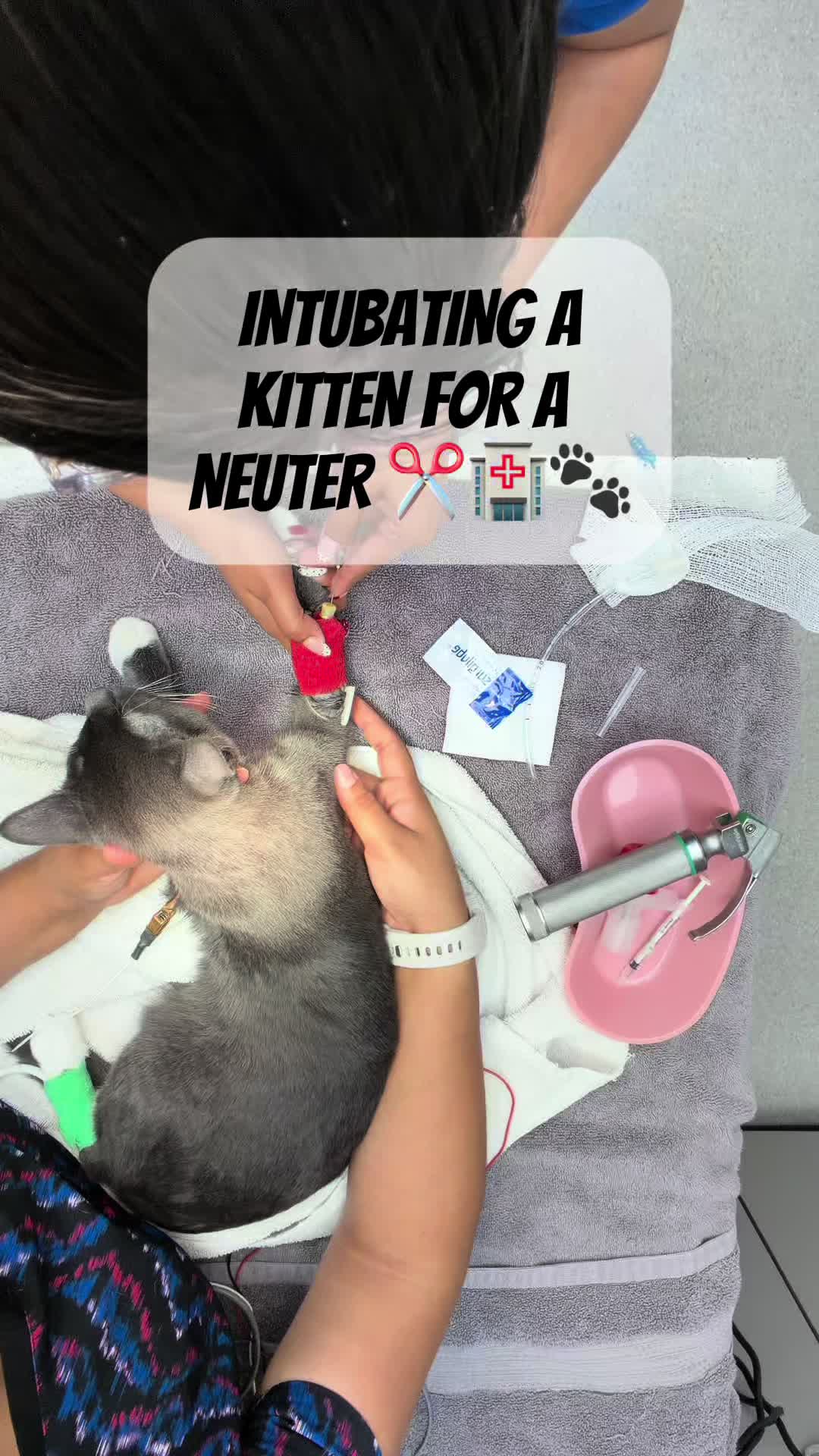 @alexia luna  ♡ྀི