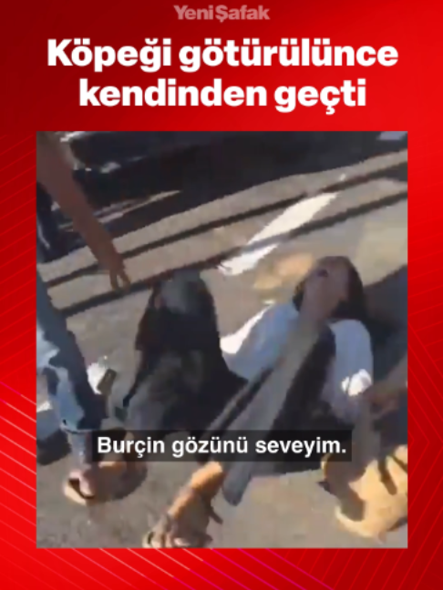 @Yeni Şafak