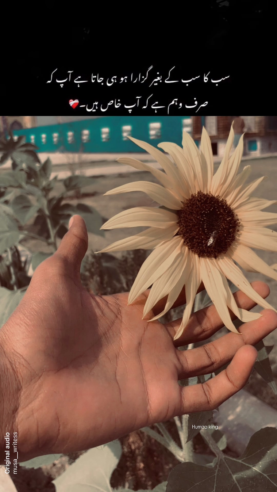 @حمزہ
