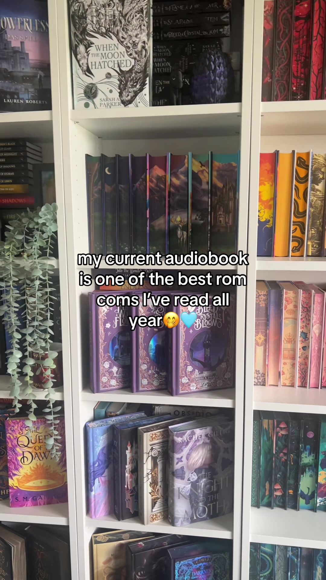 @Lexi | booktok✨📚