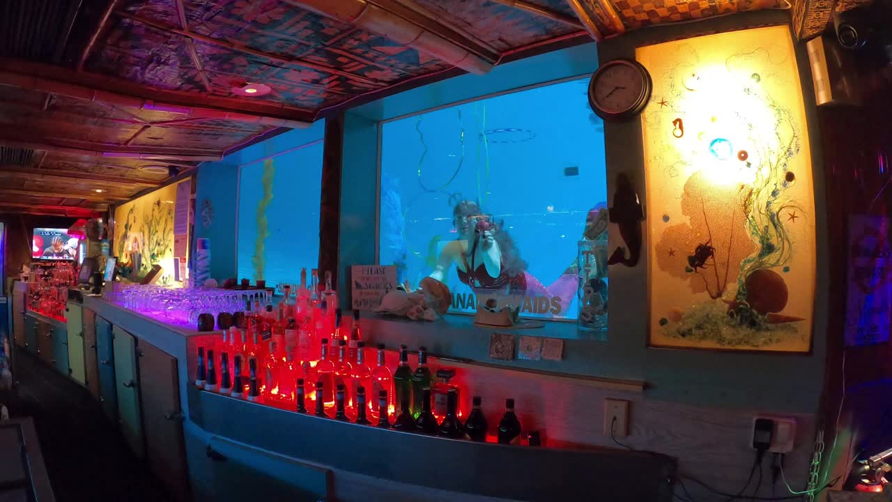 @Little Mermaid Aerial