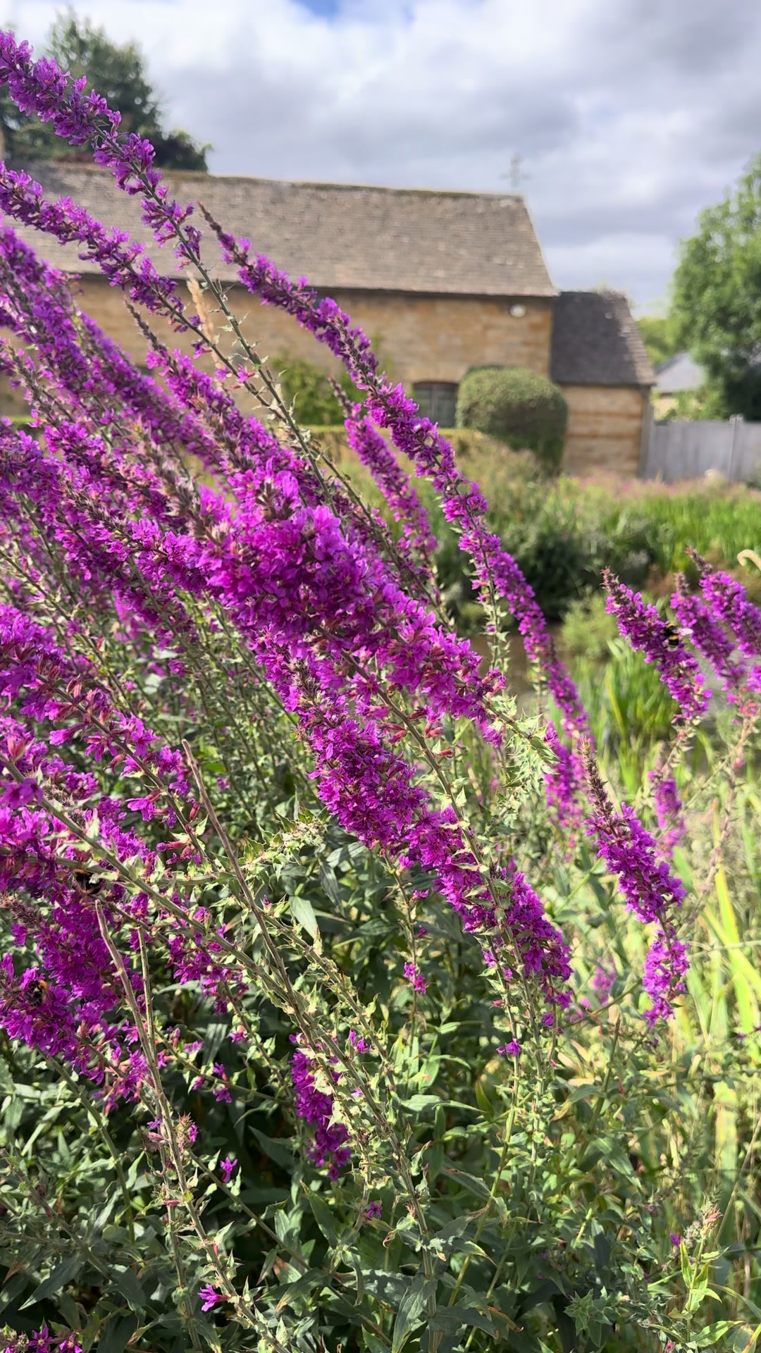 @Annabel in the Cotswolds ๐ฟ