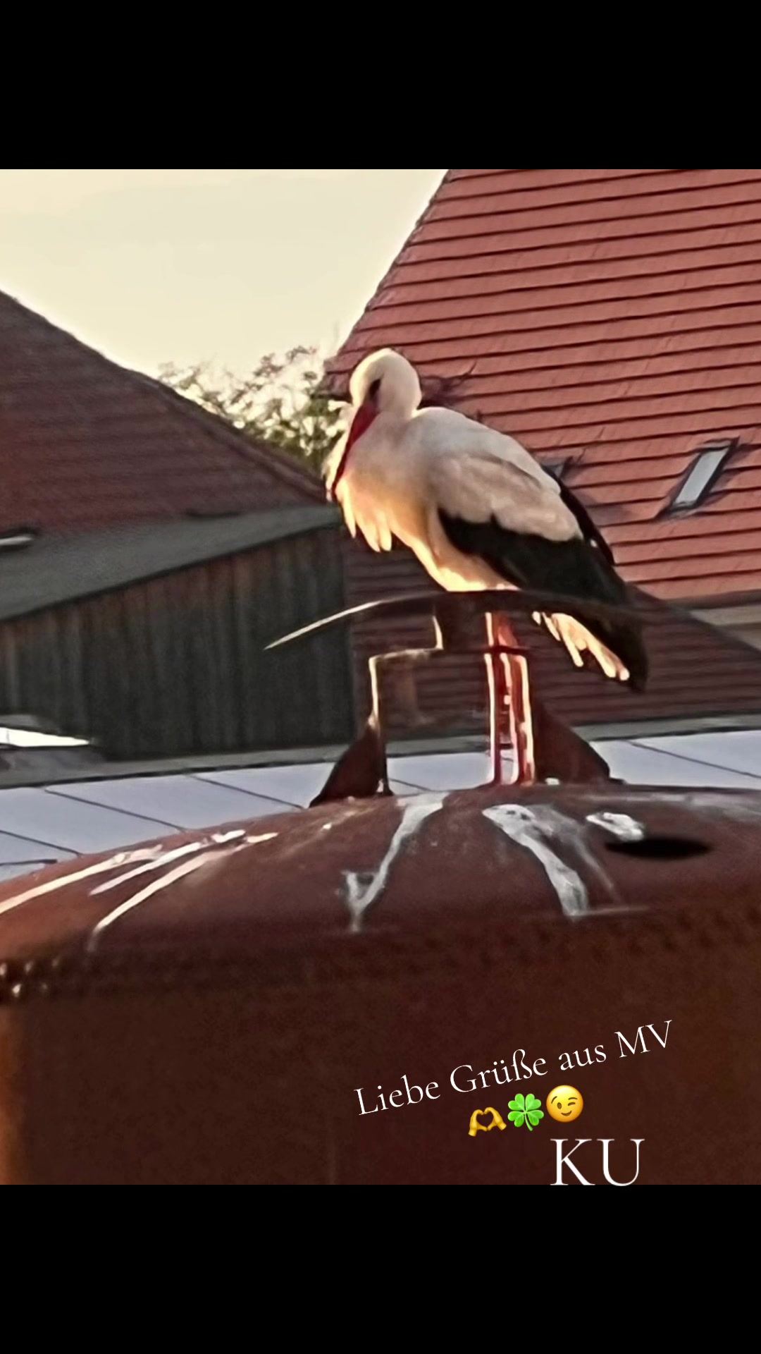@𝒦𝑒𝓇𝓈𝓉𝒾𝓃 🤗