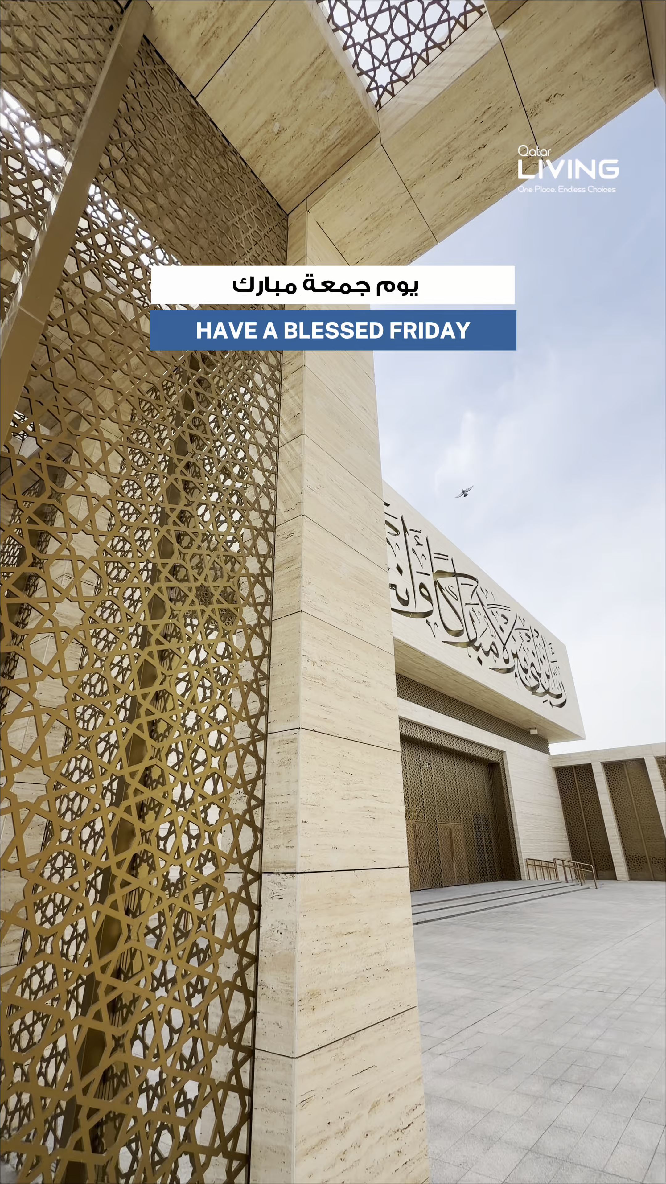@Qatar living