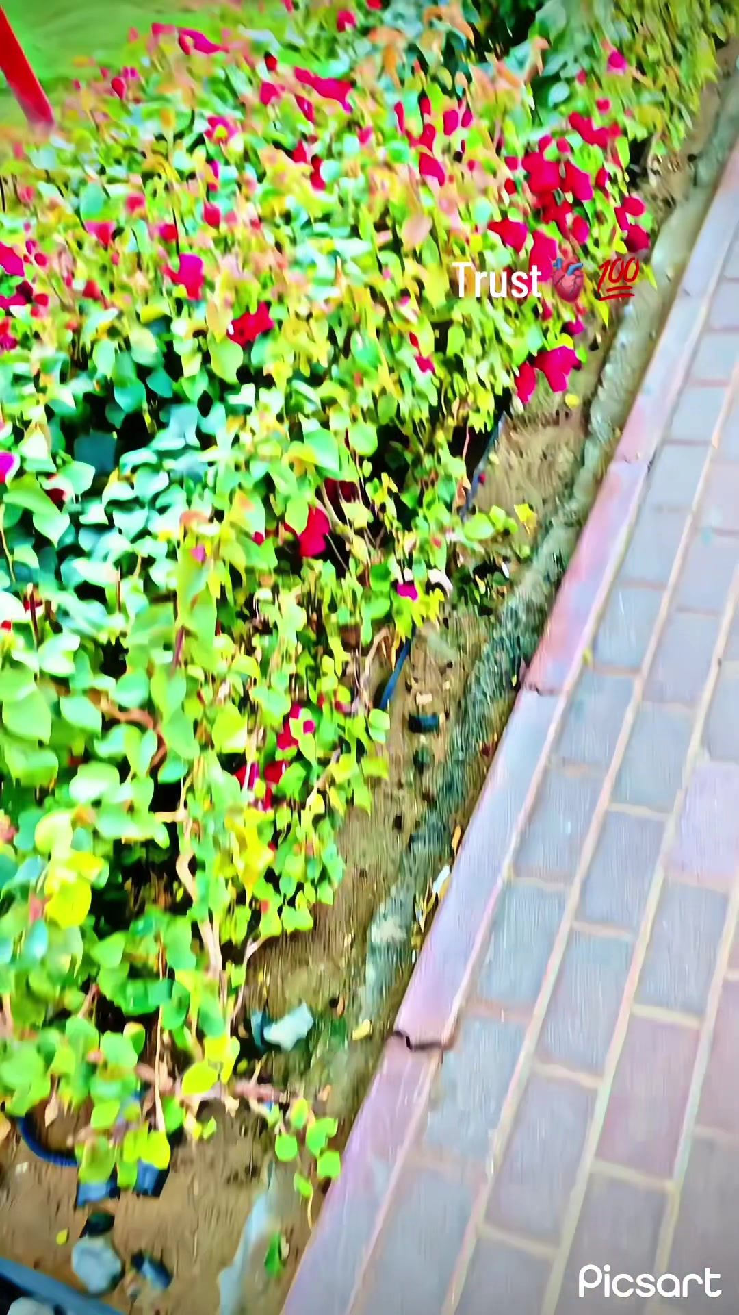@ولید رحمانی 🇵🇰✈️🇦🇪❤️🩹