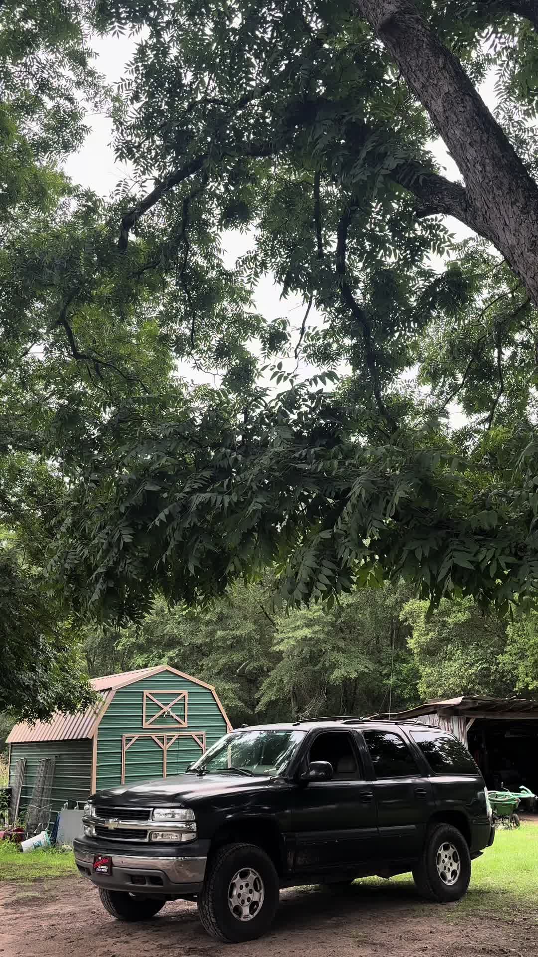 @︎ ︎