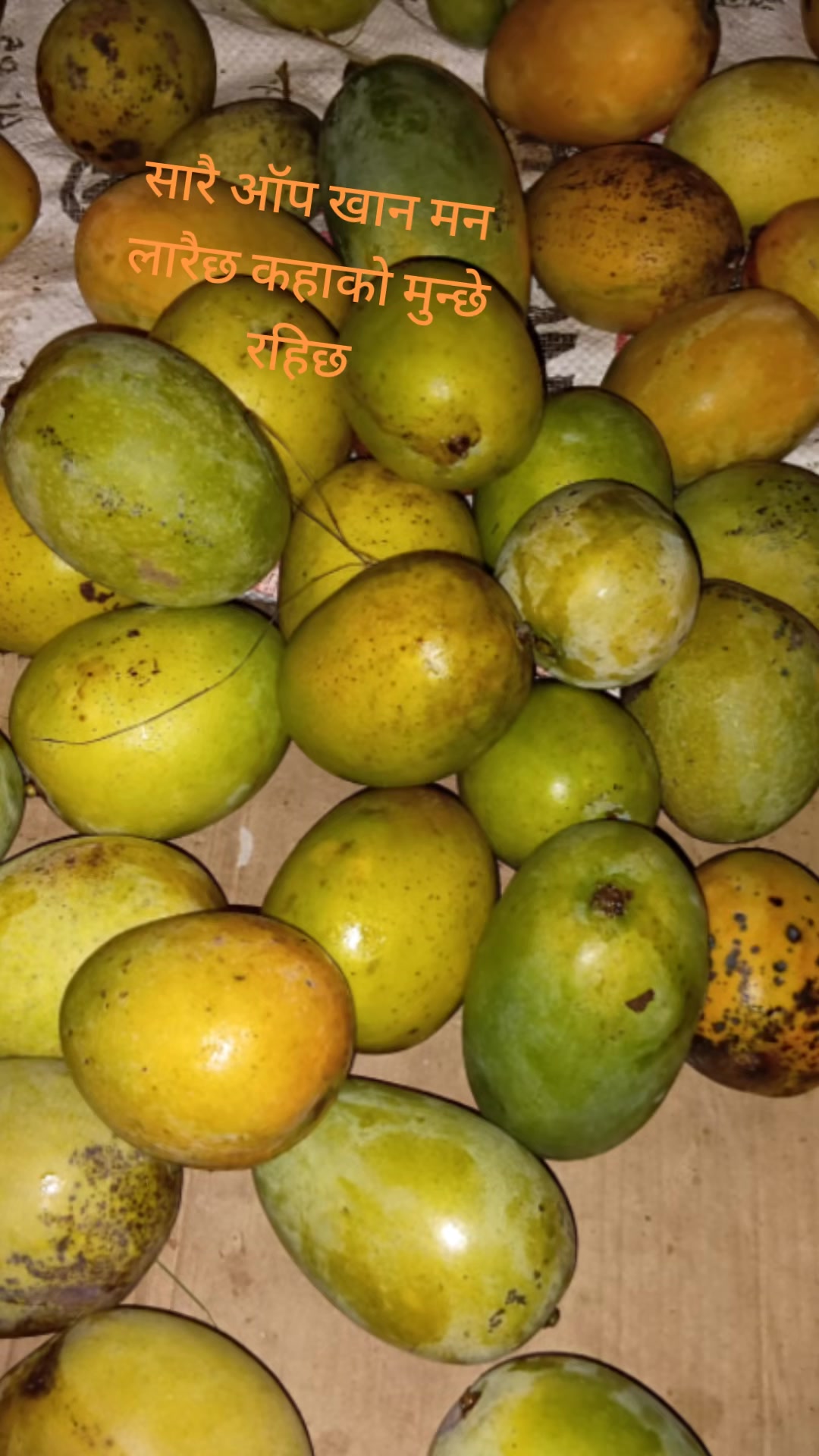 @Raju Sahu Raj