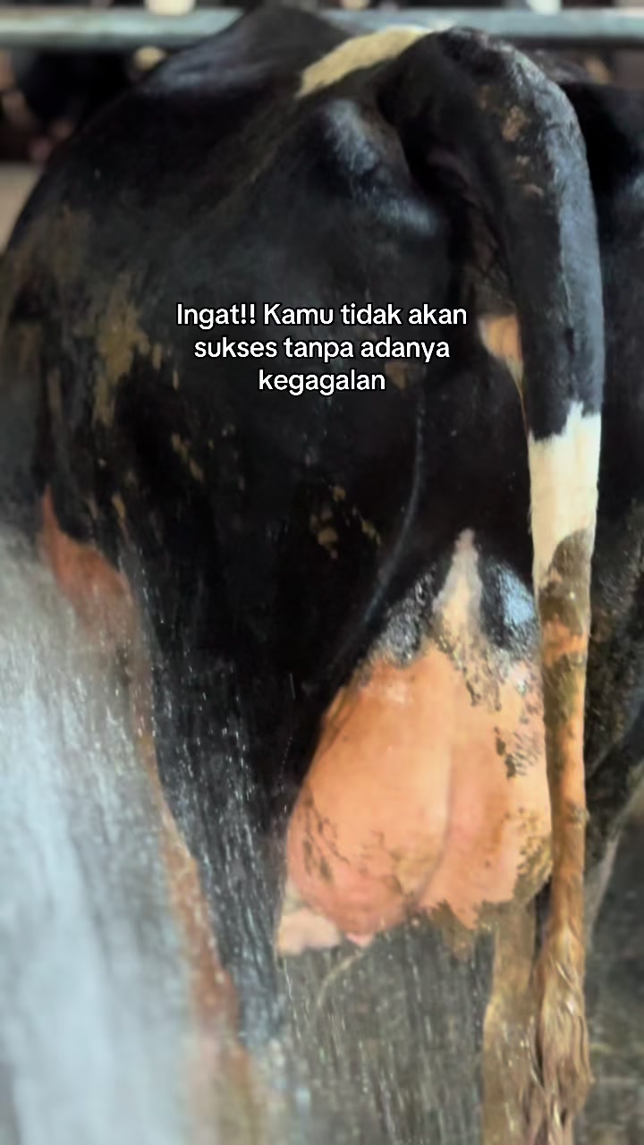 @Bregas Jaya