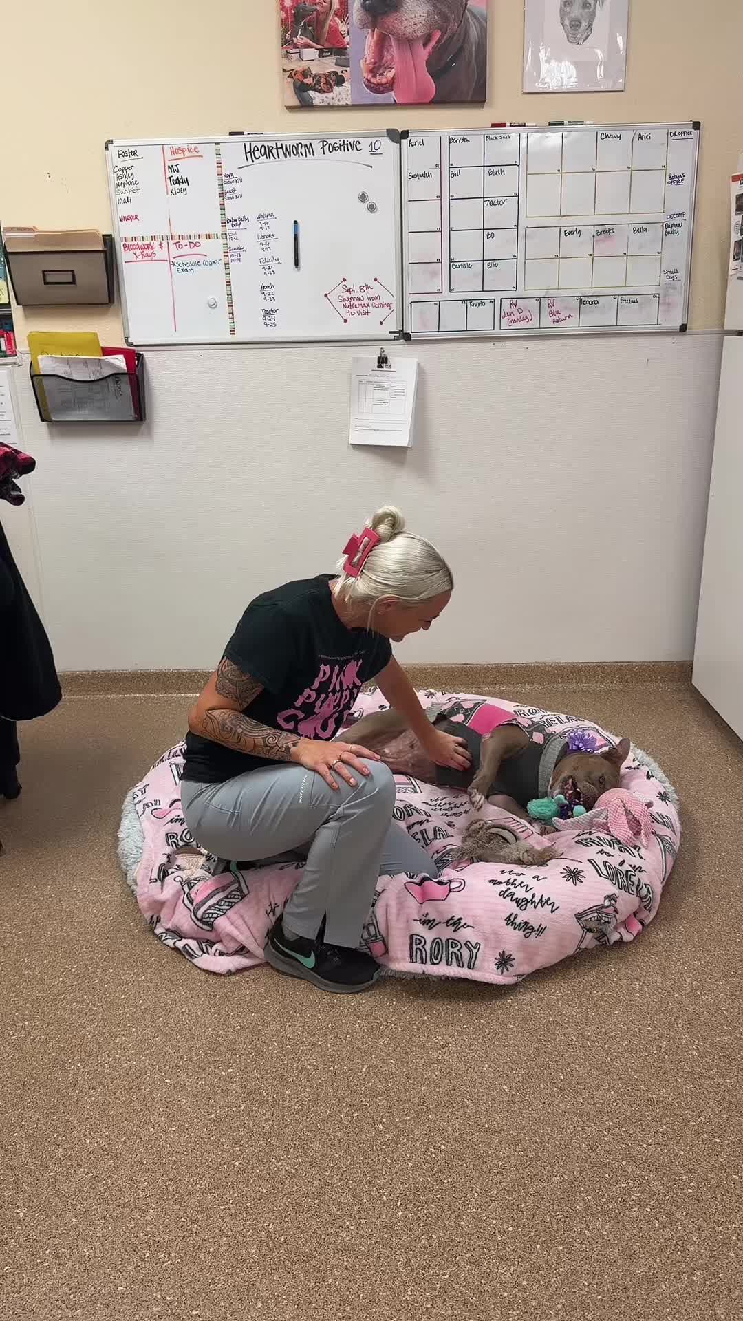 @2vettechs