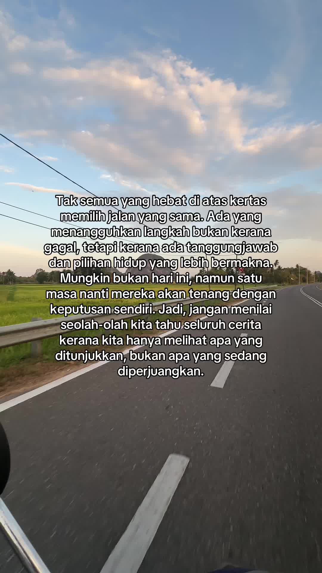 @tulips11