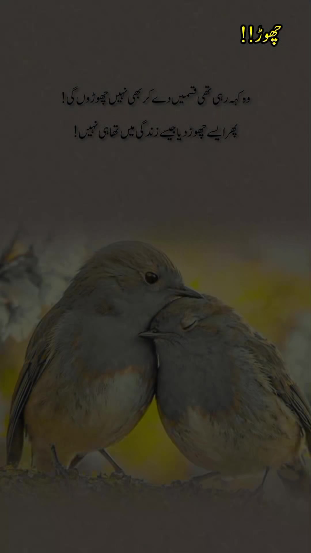 @درد دل