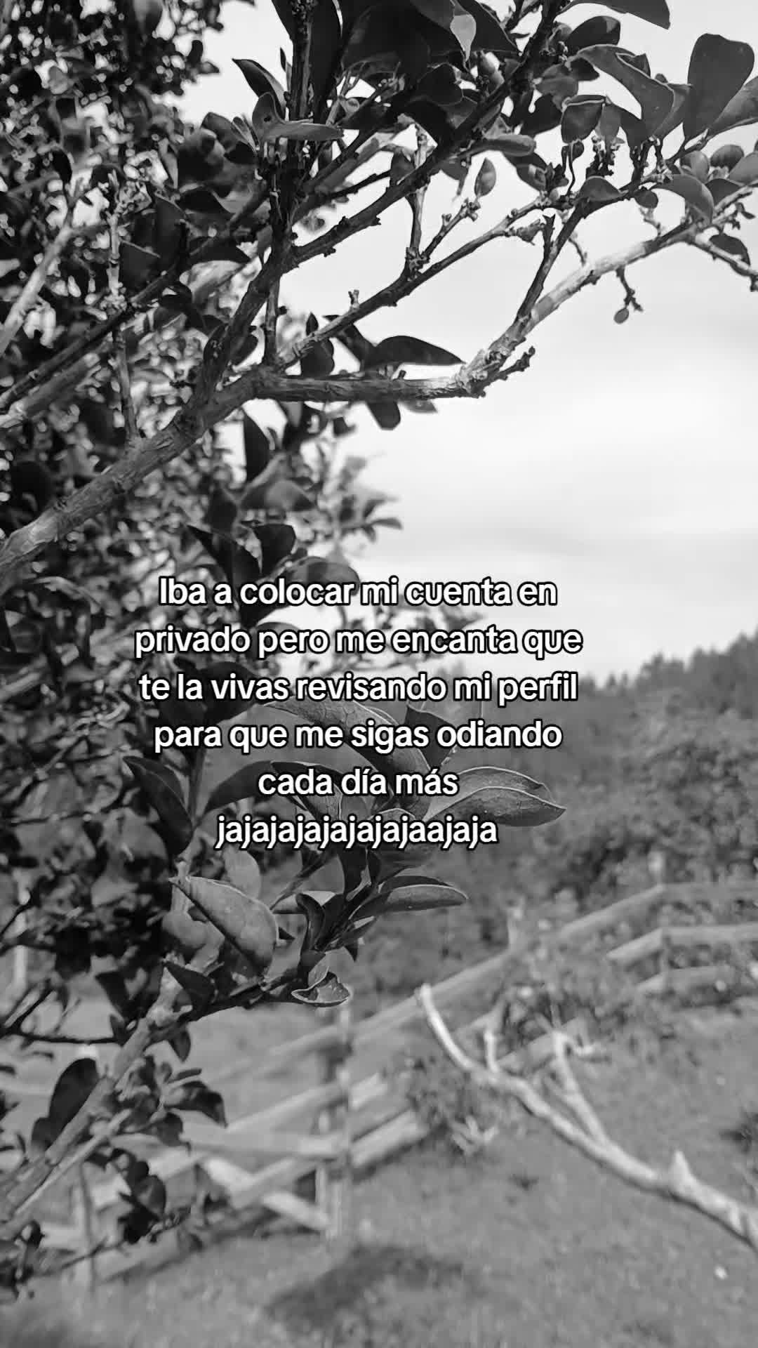 @💟🤗meli