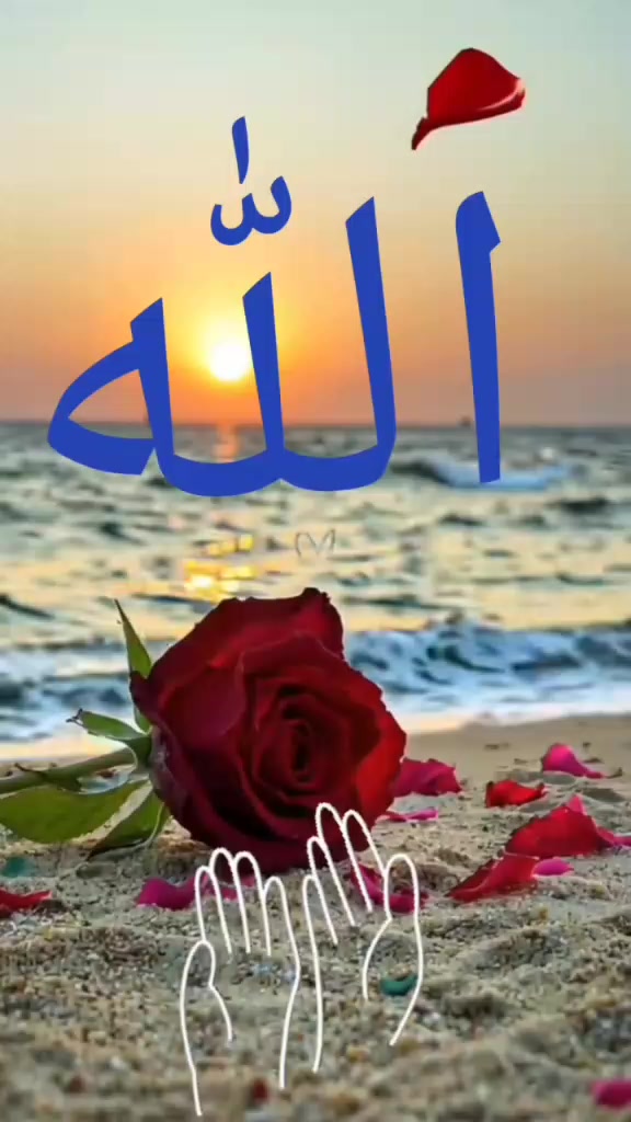 @feriha.