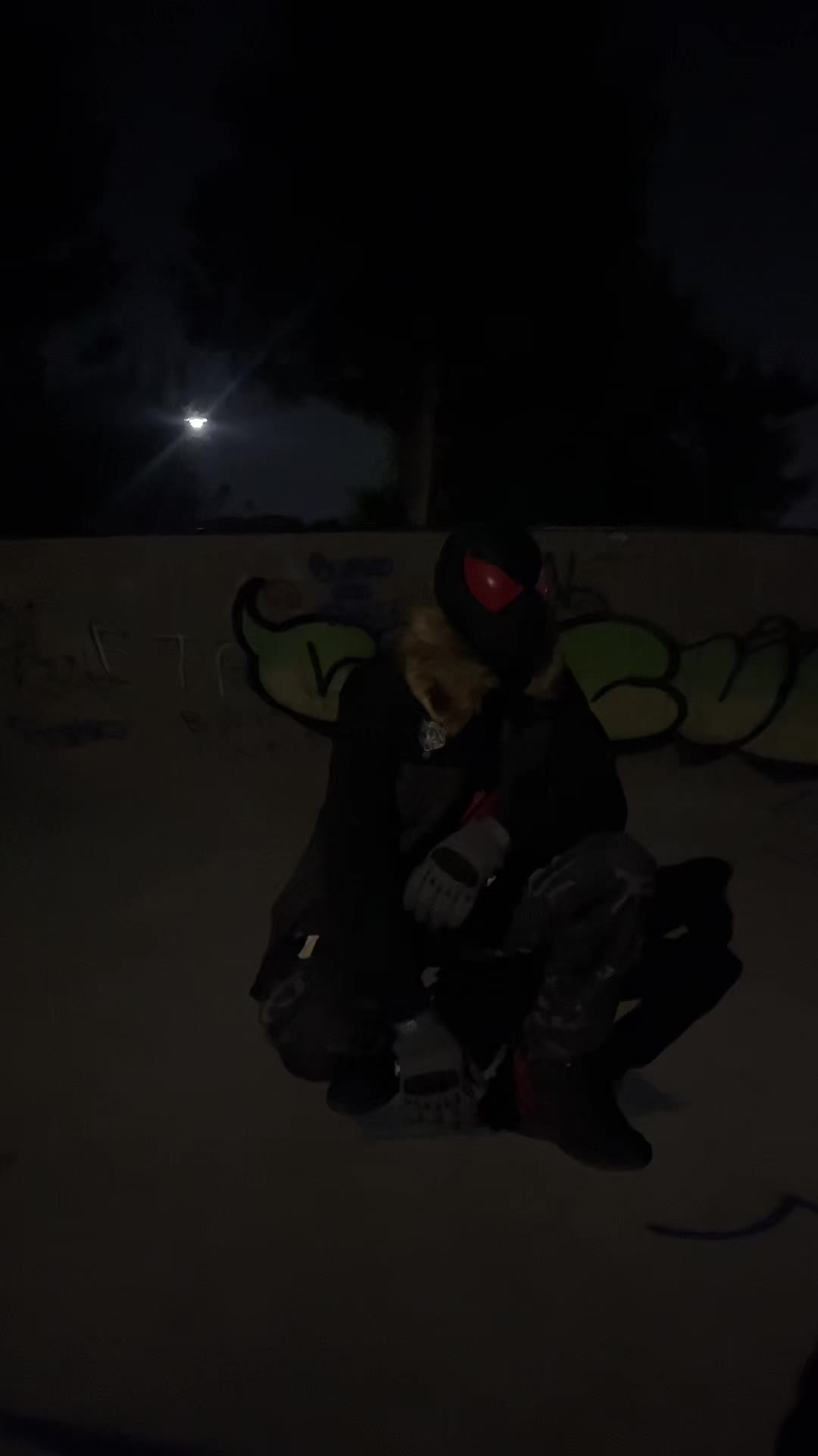 @Wolf-Spider