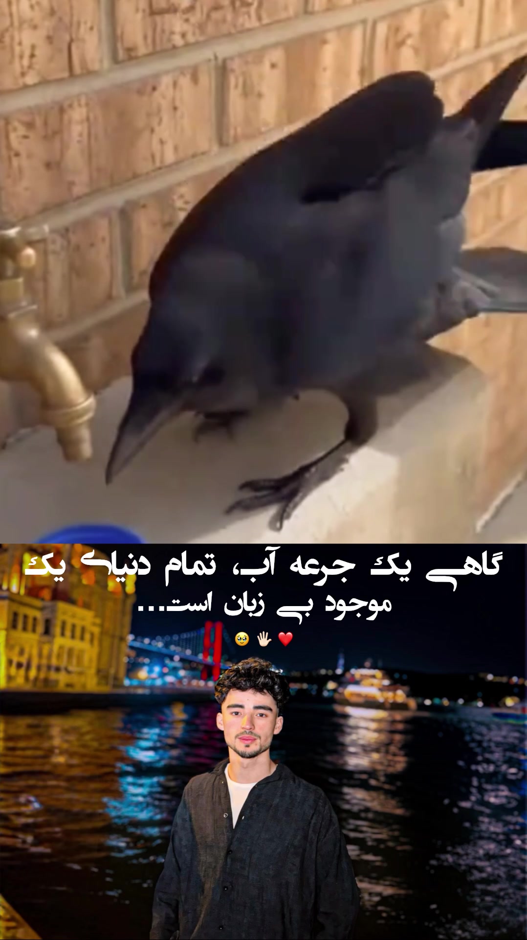 @_9x_eadan