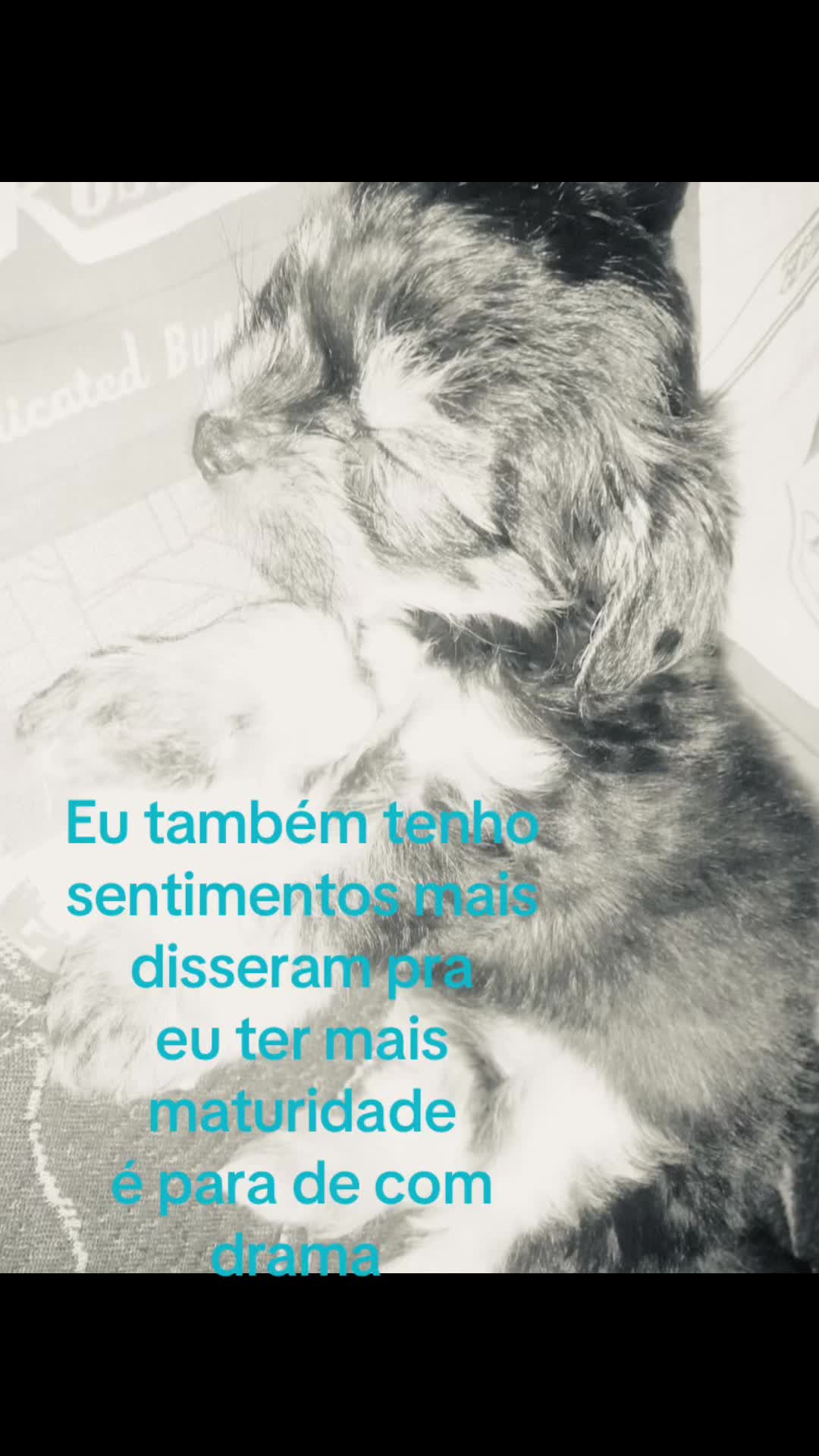 @Aninha 💯dele