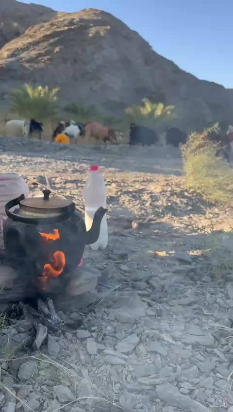 @ba3et7989