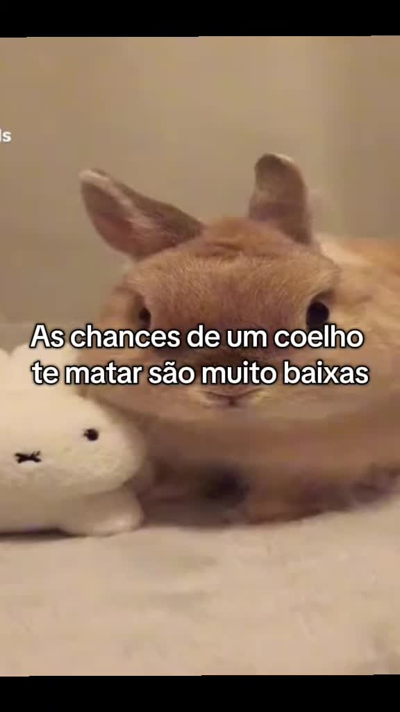 @˙&dagger;✰&dagger;˙