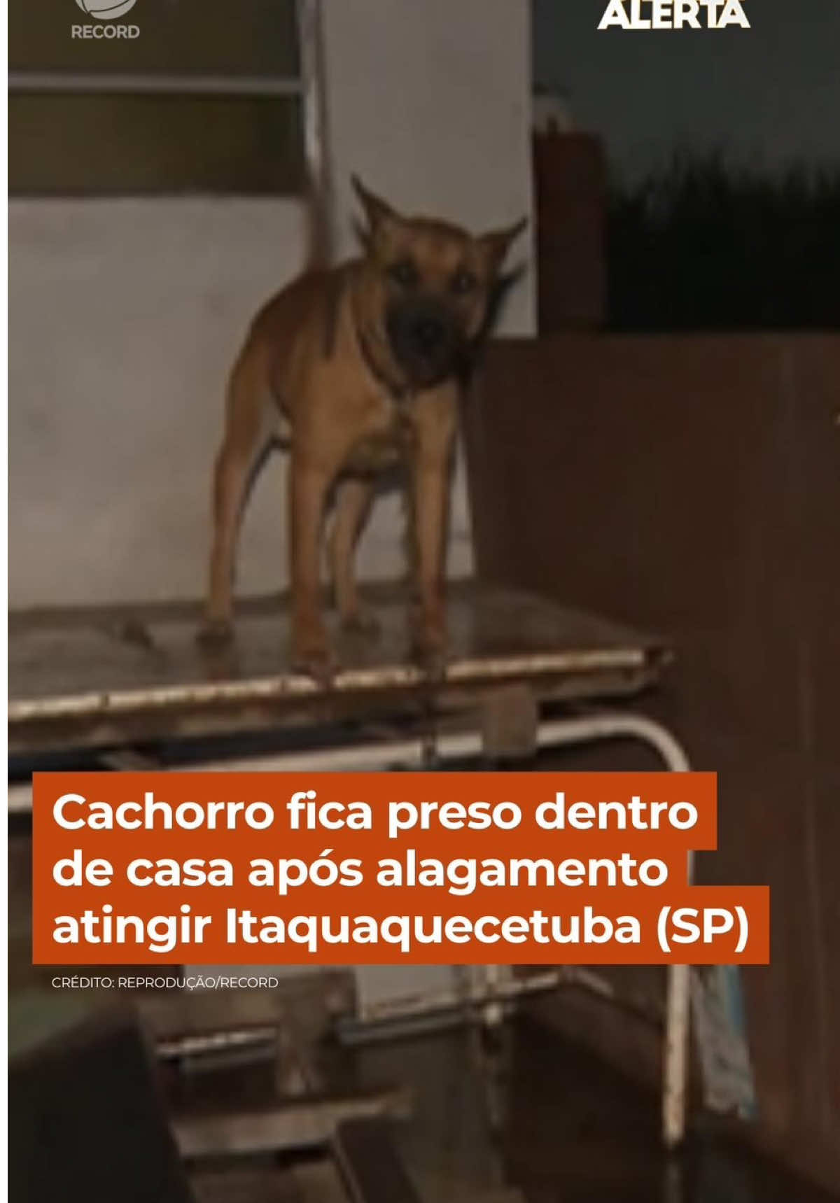 @Cidade Alerta