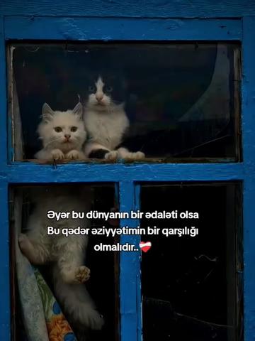 @Makeup_Arzu