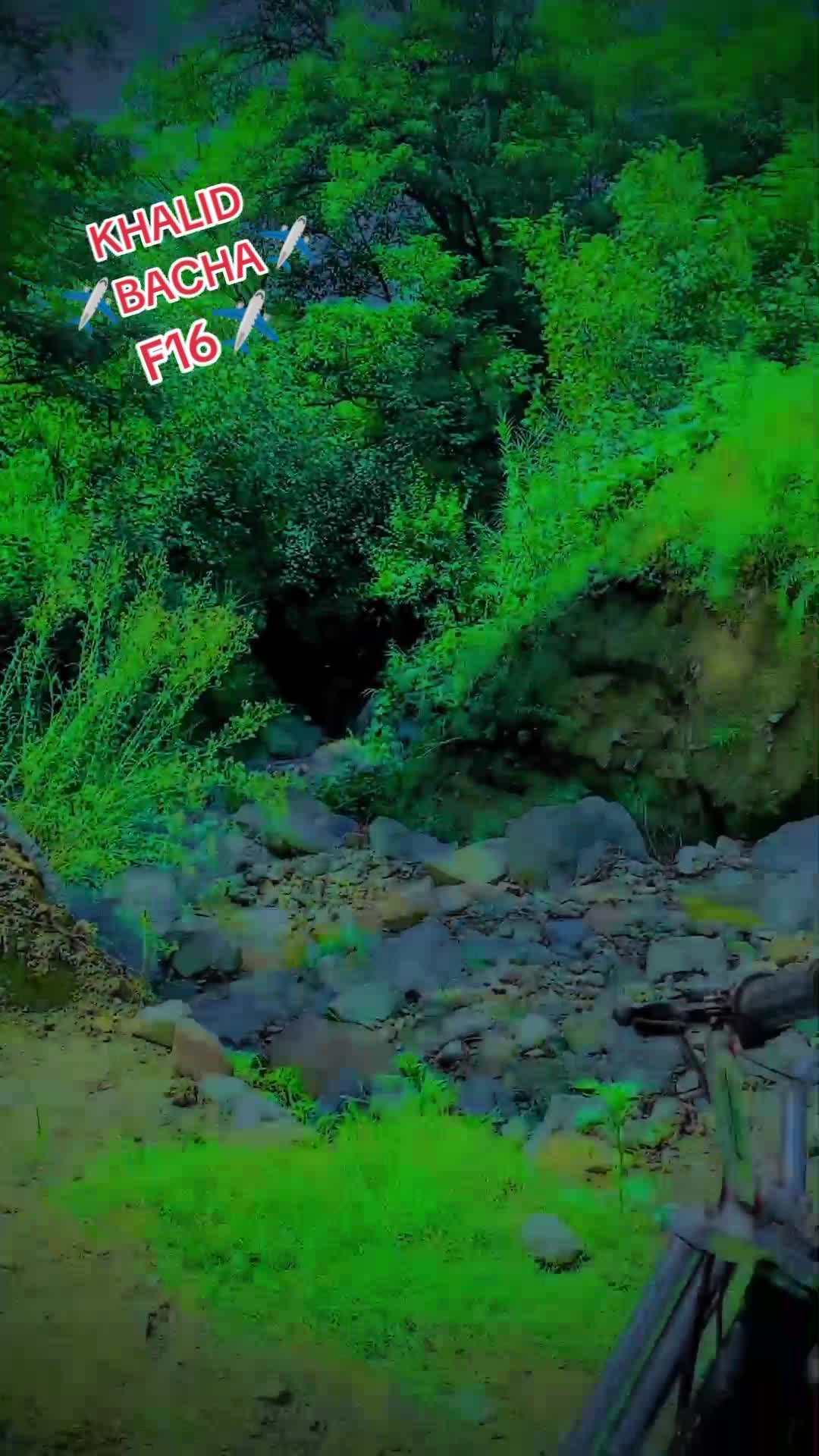 @🦋 🆉🅺 🅺🅰🅼🅸🦋