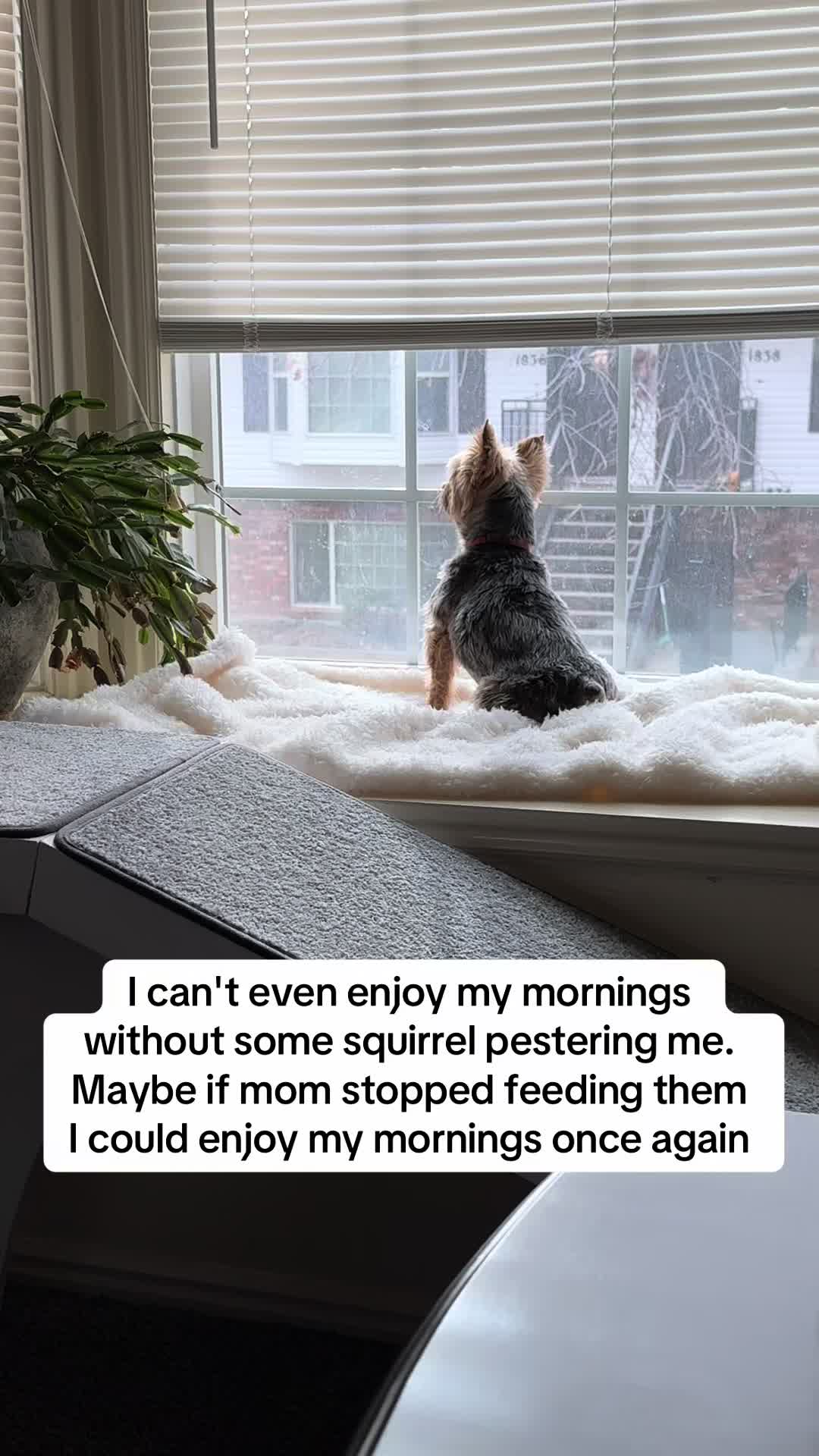 @rocky_n_friends25