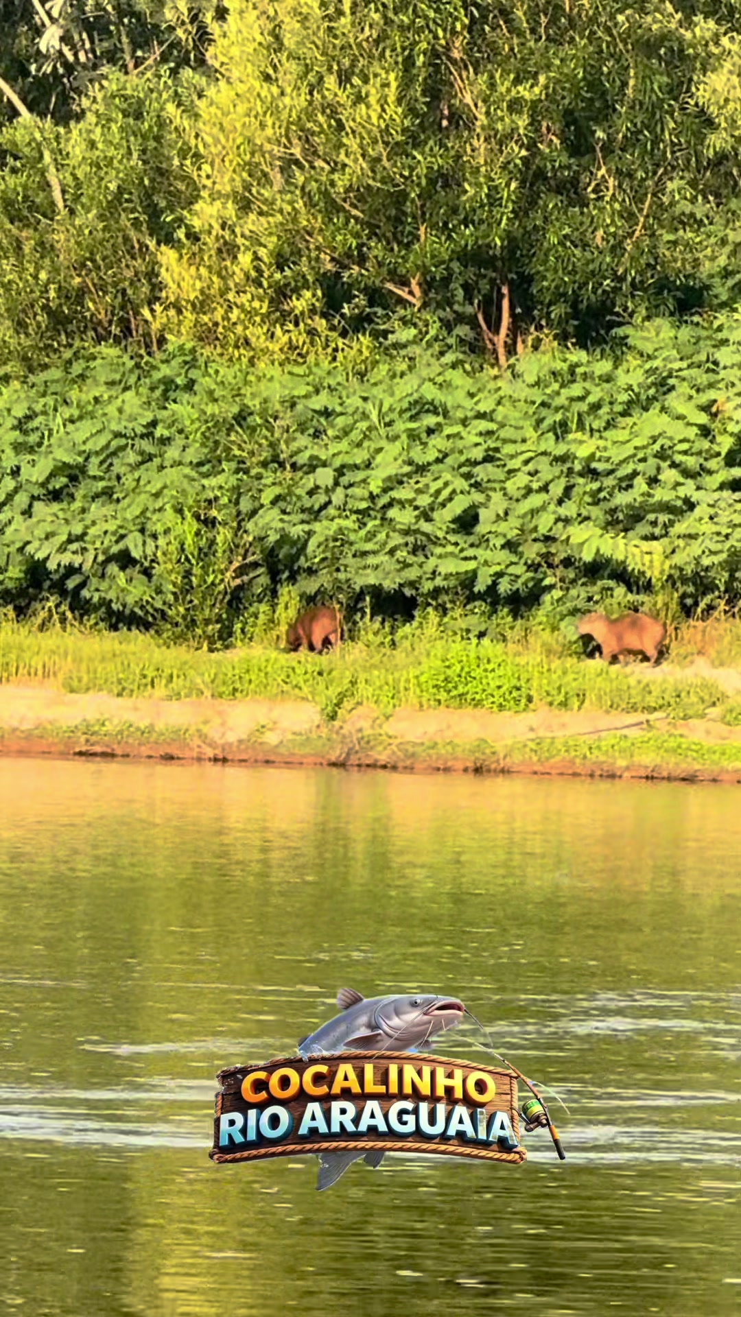 @Cocalinho Rio Araguaia