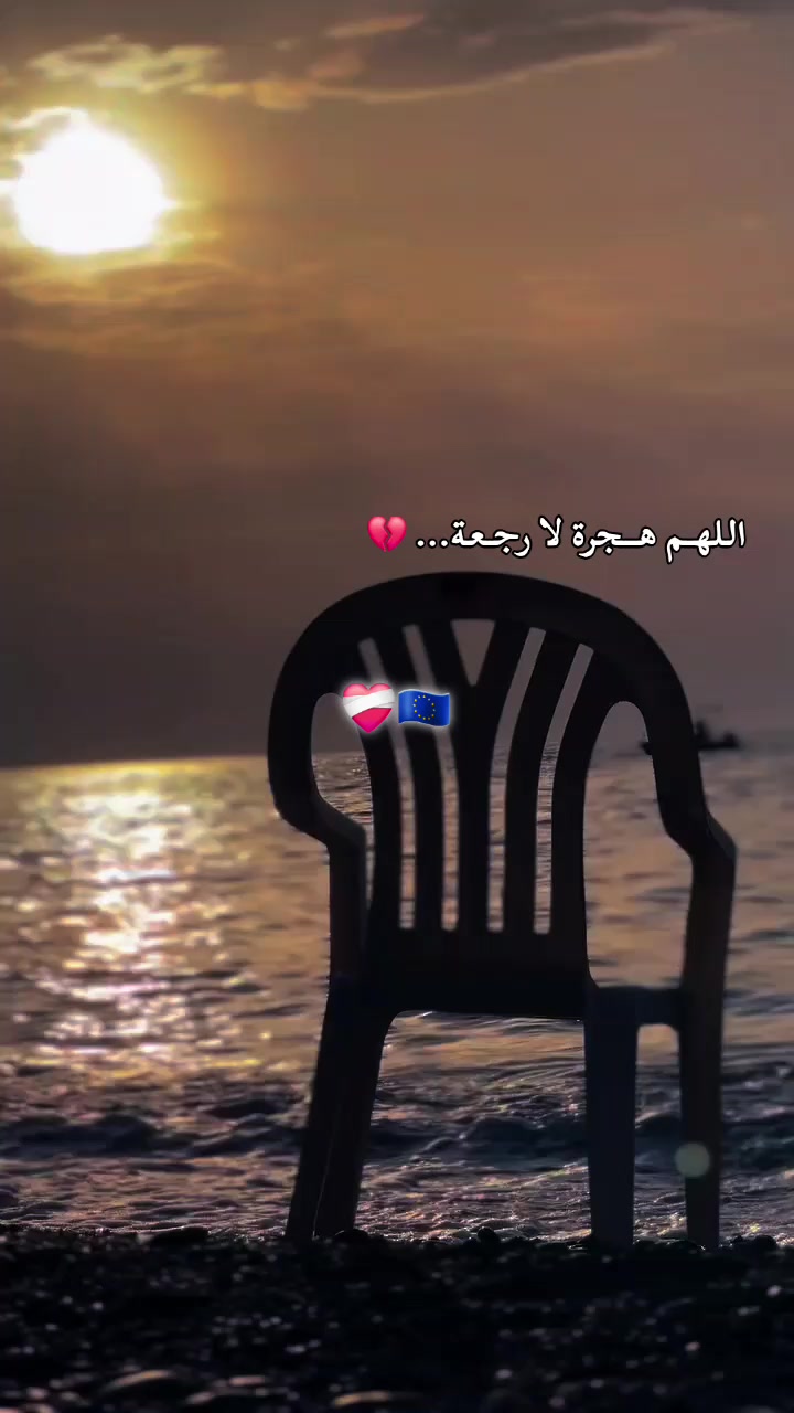@مصمم قوالب كاب كات جزائرية📷🎬