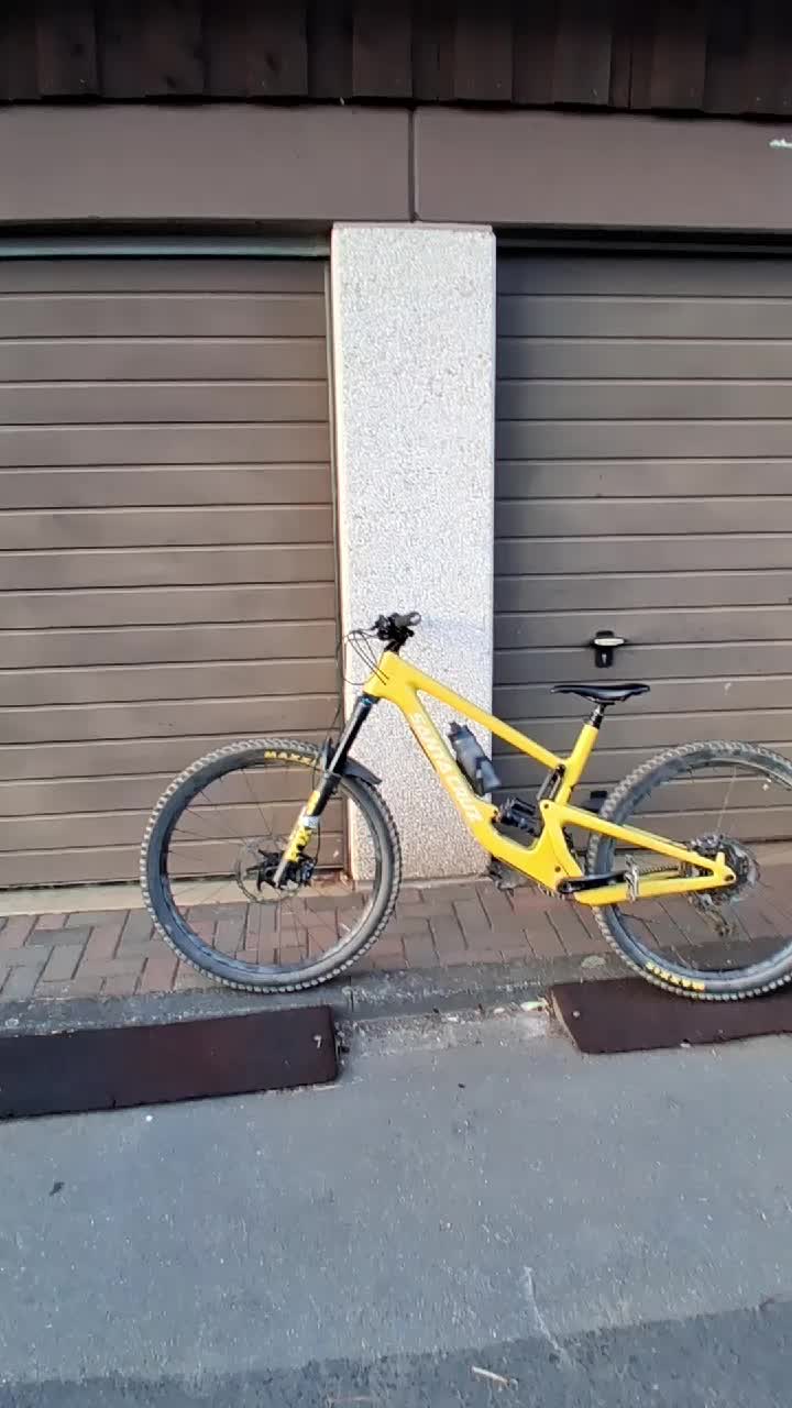@Marlonebohne 🦫