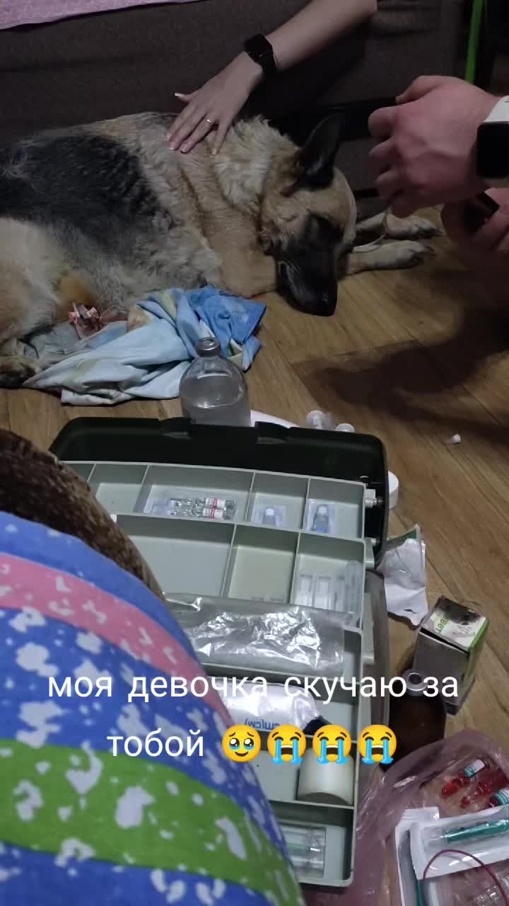 @Игорь Прокопенко