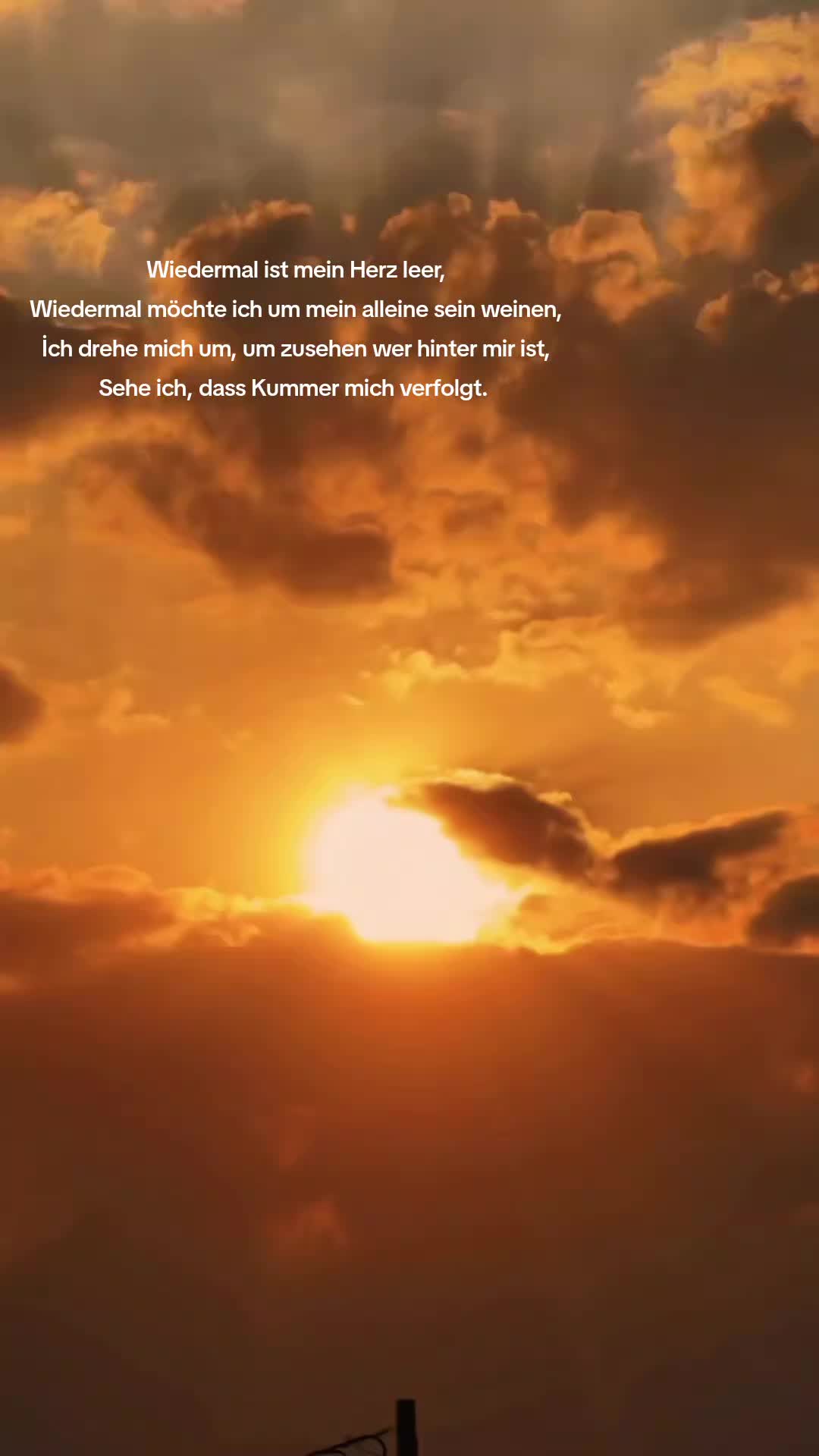 @n.z.