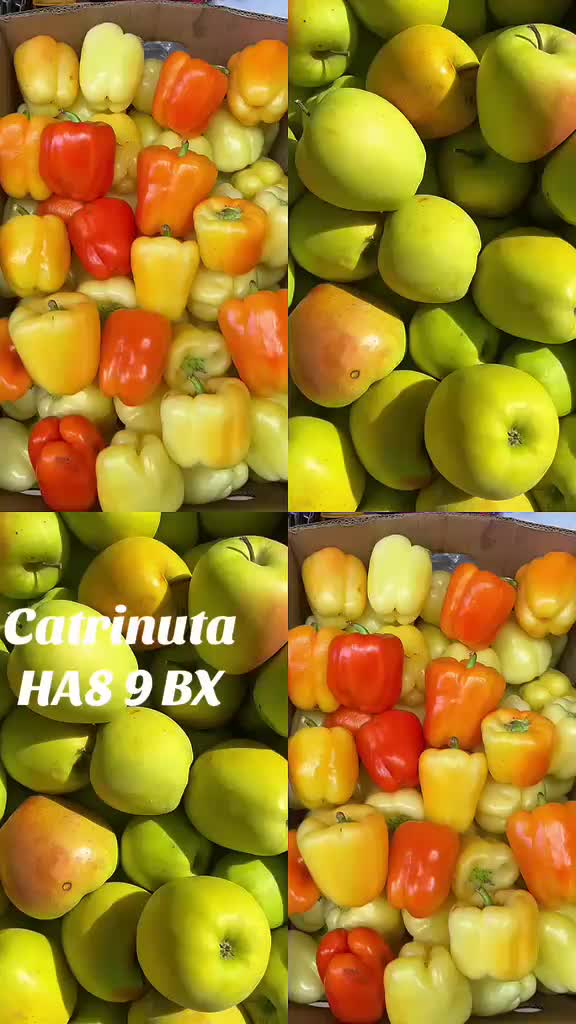 @Catrinuta Magazin Romanesc