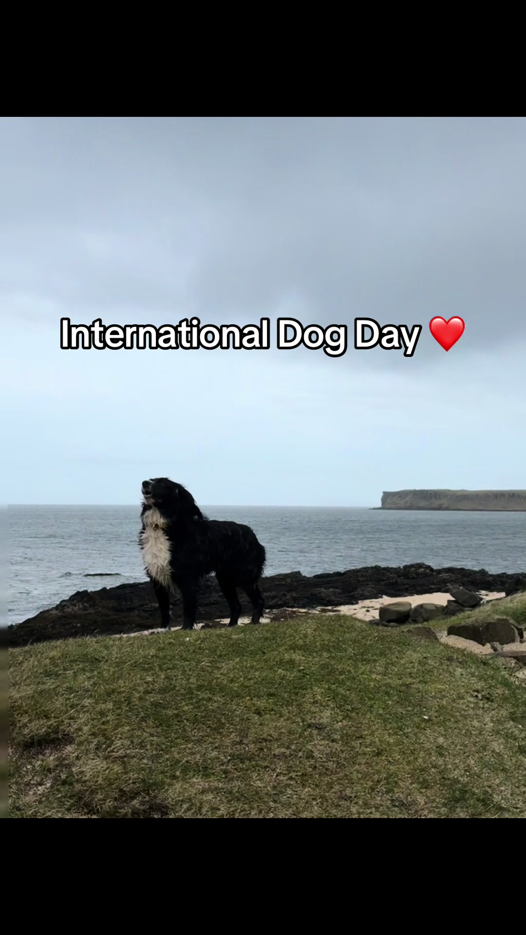 @JenniesScottishAdventures