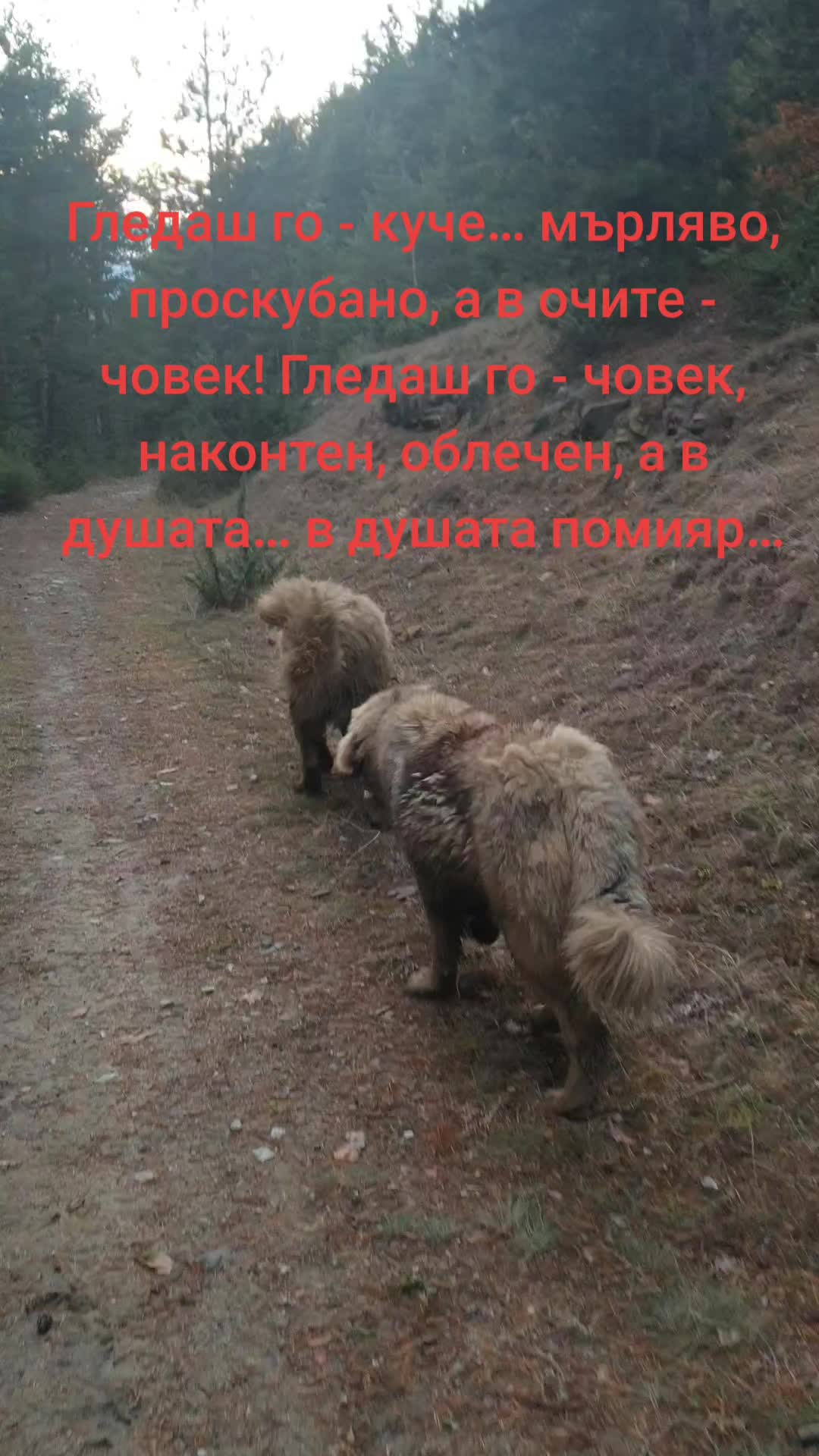 @Салих Врачов