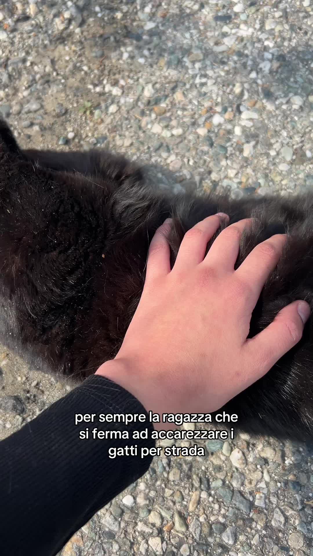 @sofiaforlani