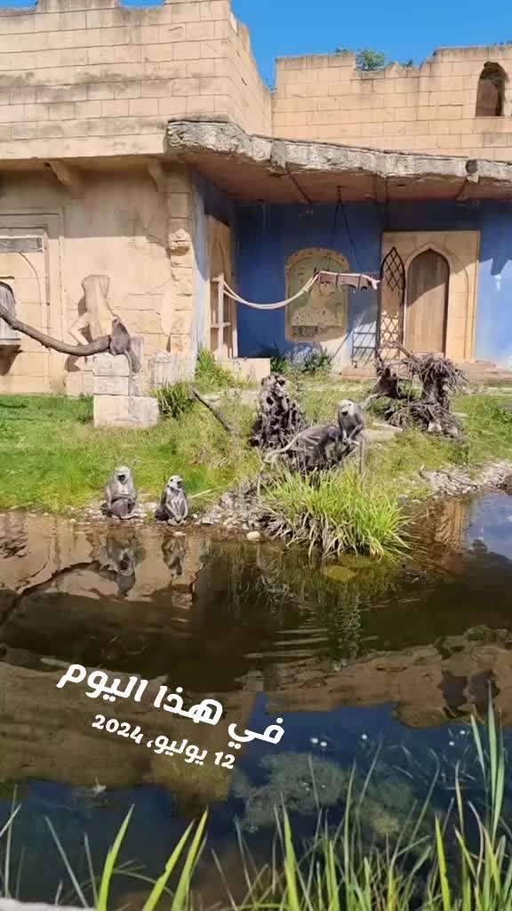 @ام عبوده