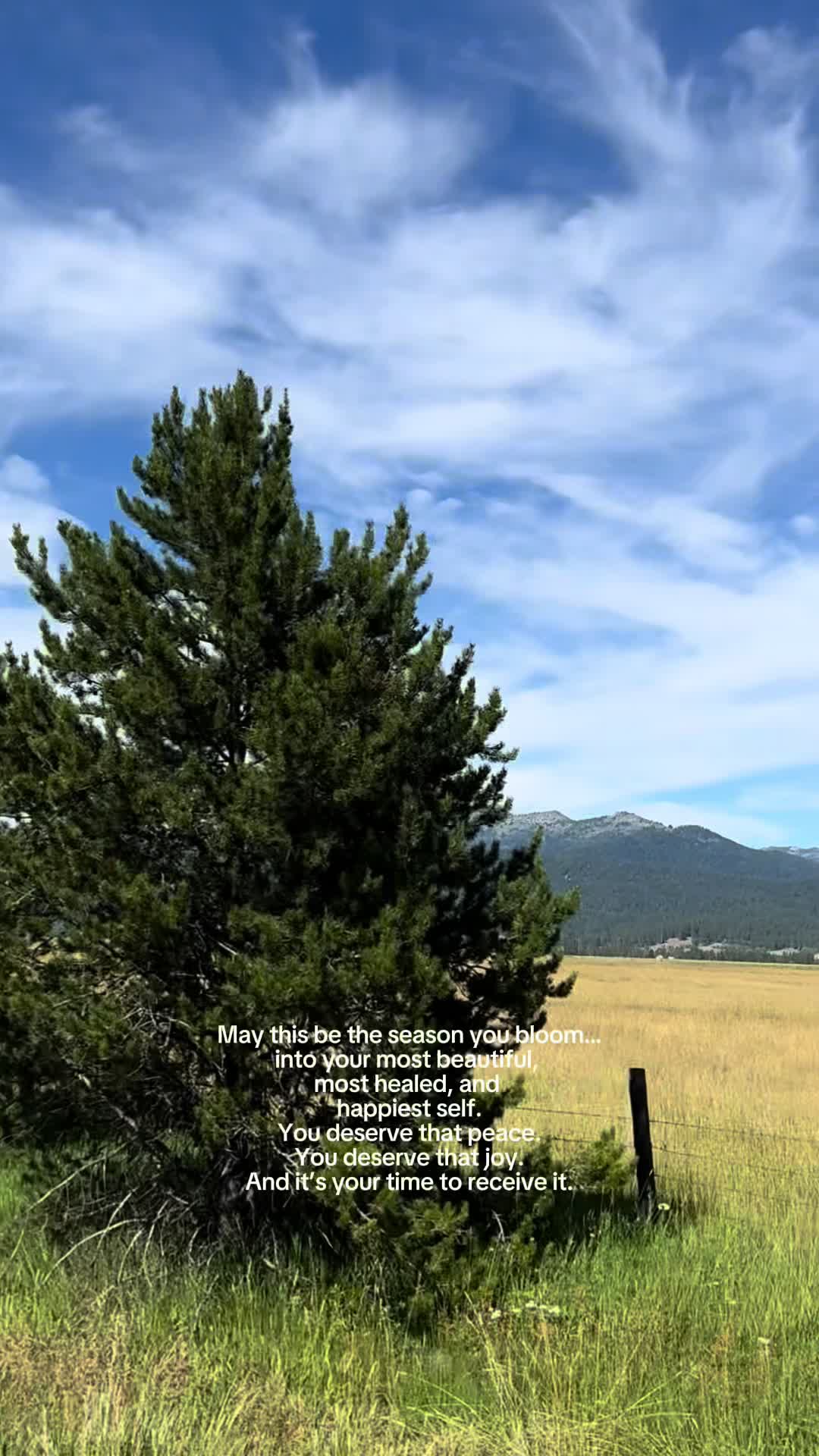 @mamaonatrip